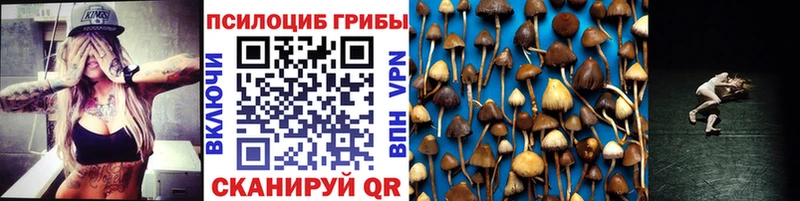 наркошоп  Лангепас  Псилоцибиновые грибы Magic Shrooms 
